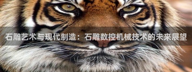 天辰娱乐路线