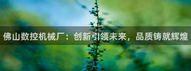 天辰娱乐app