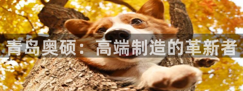 天辰娱乐 39974