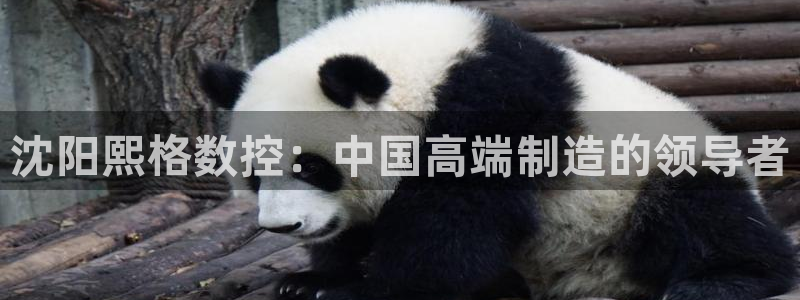 常州天辰娱乐