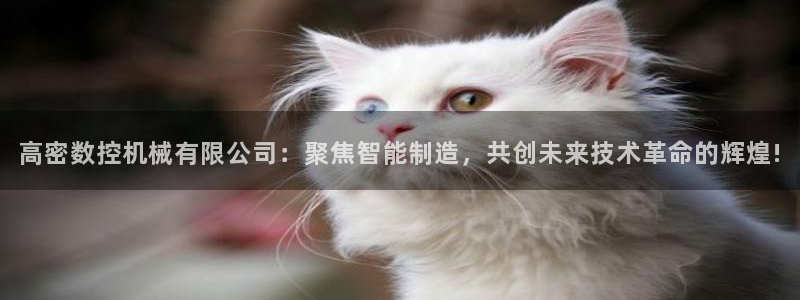 天辰宝娱乐