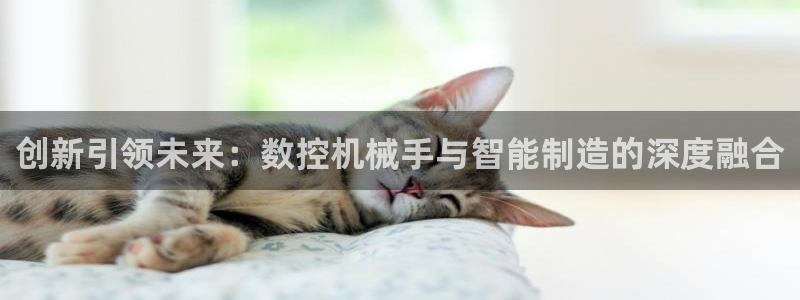 天辰娱乐 849852