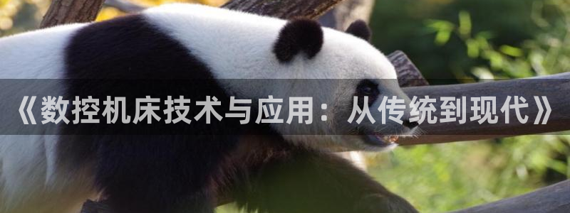 天辰娱乐 主管