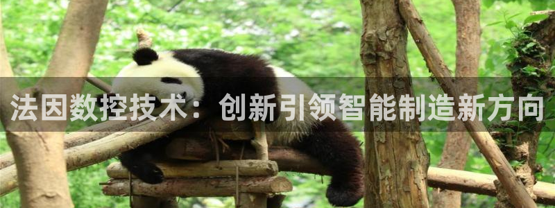 天辰娱乐会所