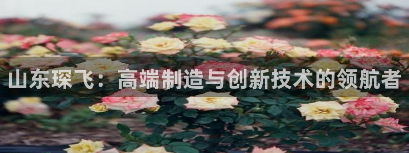 天辰娱乐分红