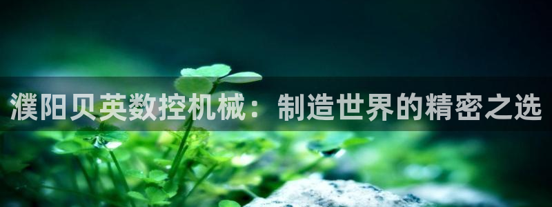 天辰娱乐官