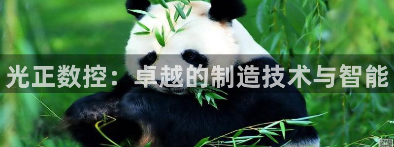天辰娱乐网址娱乐游戏