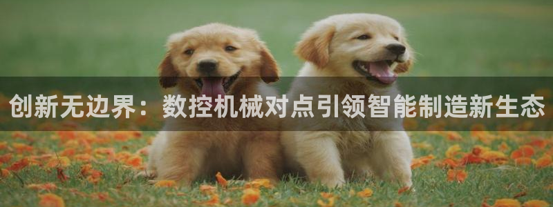 天辰娱乐1980
