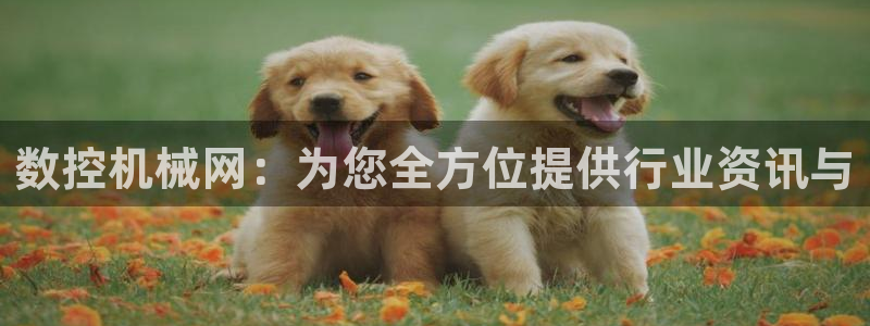 天辰娱乐官方登录入口