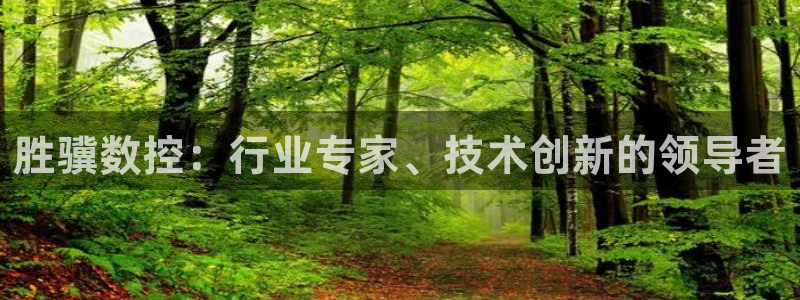 天辰娱乐APP下载
