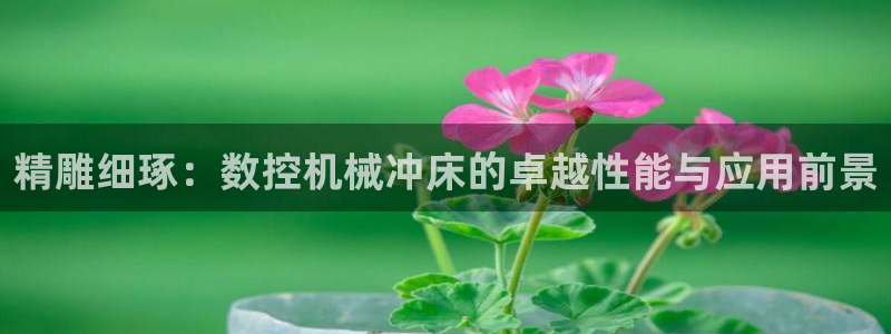 天辰娱乐小妹
