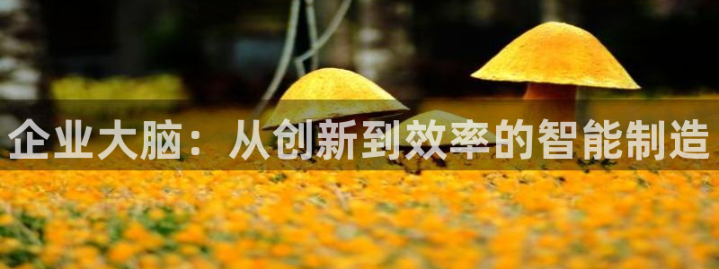 天辰娱乐平台测速