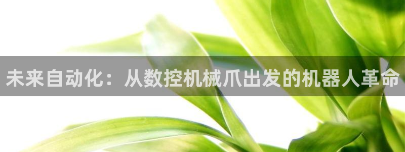 天辰娱乐ttf