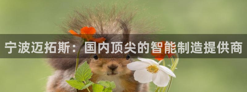 天辰娱乐44516
