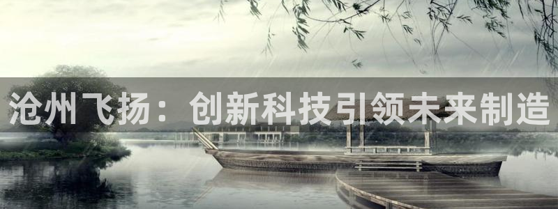 天辰娱乐新：沧州飞扬：创新科技引领未来制造