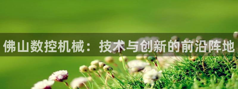 天辰娱乐在线登录注册：佛山数控机械：技术与创新的前沿阵地