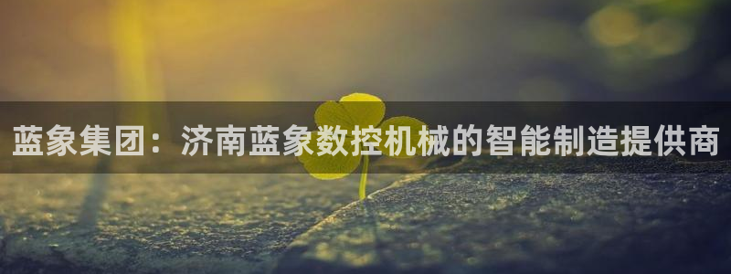 天辰娱乐招商