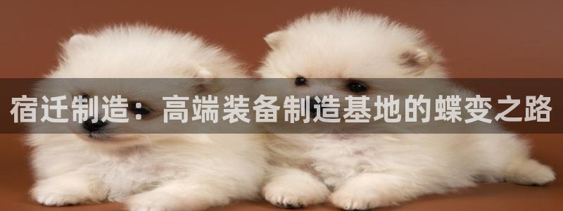 天辰娱乐481928