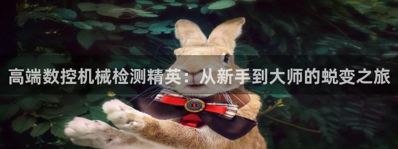 天辰娱乐 注册