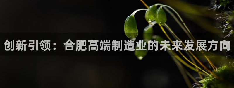 天辰娱乐新闻