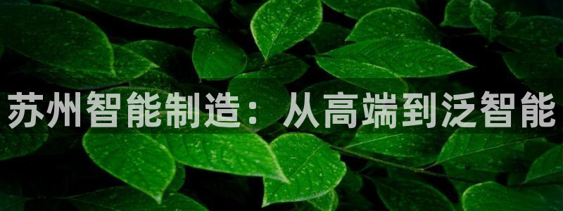 天辰娱乐国际