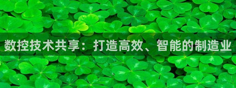 菲律宾天辰娱乐