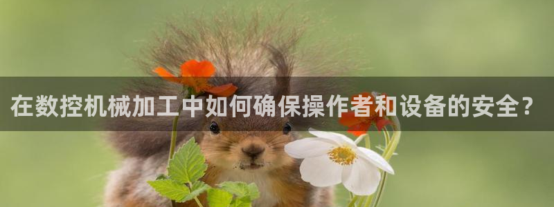 天辰娱乐 qq