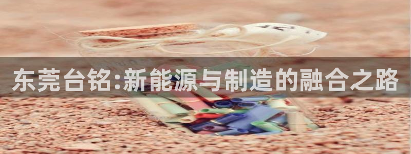 天辰线上娱乐：东莞台铭:新能源与制造的融合之路