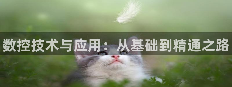 天辰娱乐主页