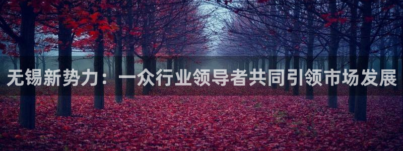 天辰娱乐-q：无锡新势力：一众行业领导者共同引领市场发展