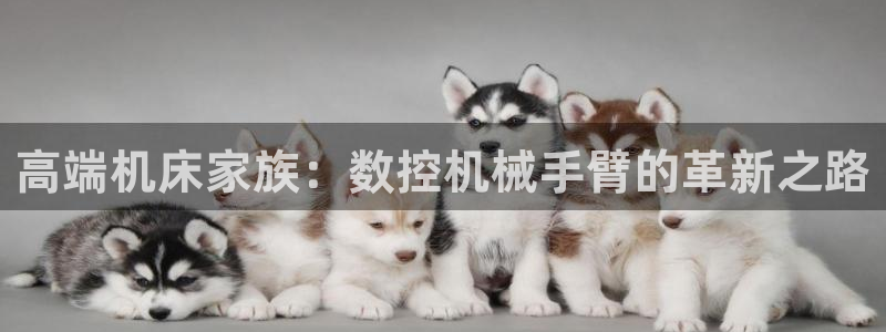 天辰国际娱乐