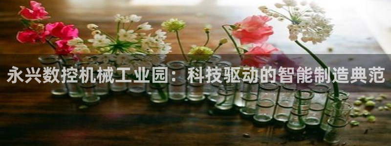 广东天辰娱乐：永兴数控机械工业园：科技驱动的智能制造典范