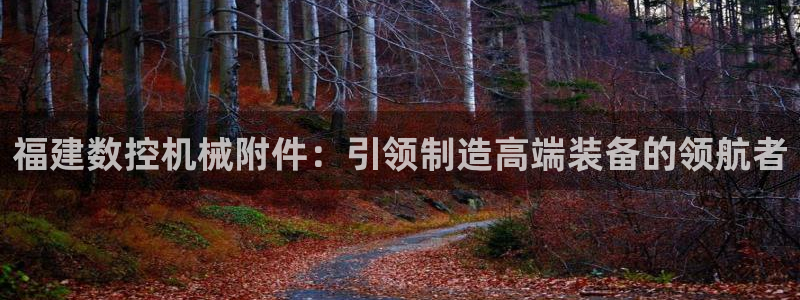 天辰娱乐主管