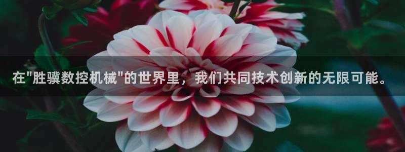 天辰娱乐平台地址