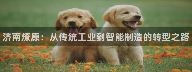 天富娱乐天辰娱乐