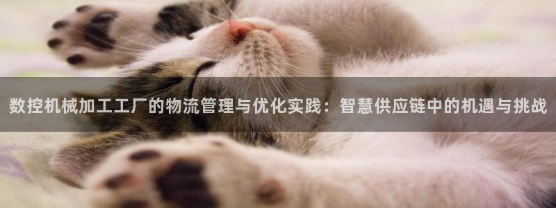 天辰娱乐娱乐