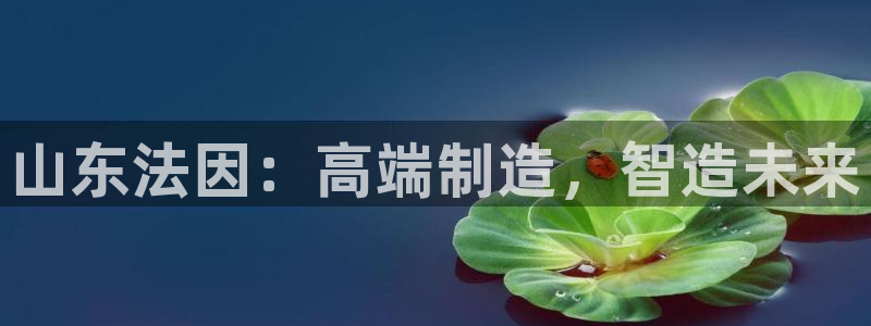 天辰娱乐新