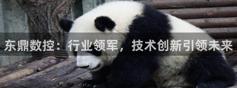辰天娱乐用品