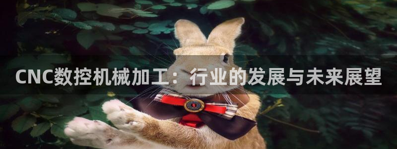 天辰娱乐官方网