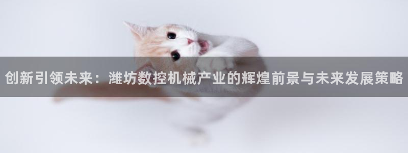 天辰娱乐2：创新引领未来：潍坊数控机械产业的辉煌前景与未来发展策略