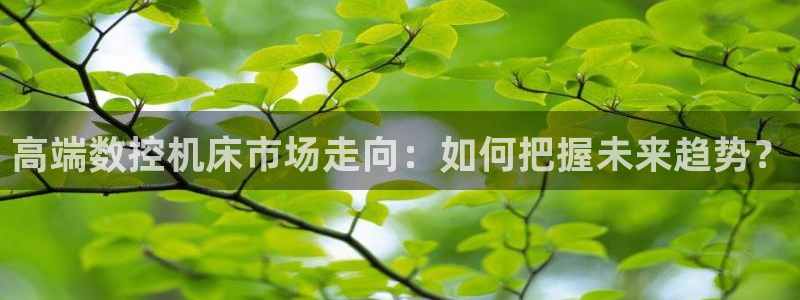 天辰娱乐tff