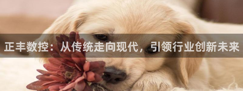 菲律宾天辰娱乐