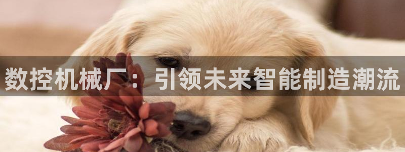 天富娱乐天辰娱乐