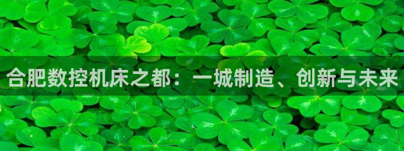天辰娱乐天辰宝:合肥数控机床之都:一城制造、创新与未来