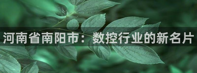 天辰娱乐连接:河南省南阳市:数控行业的新名片